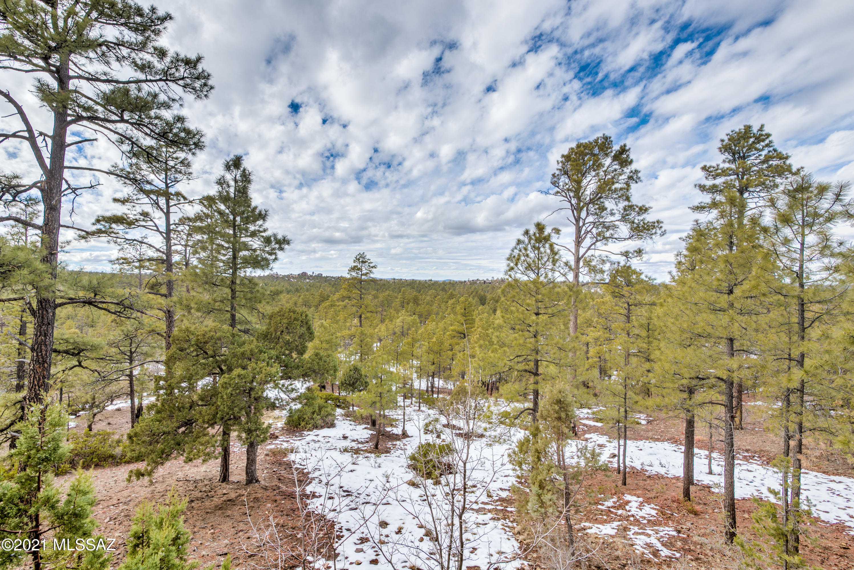1780 S Twin Peak Trail