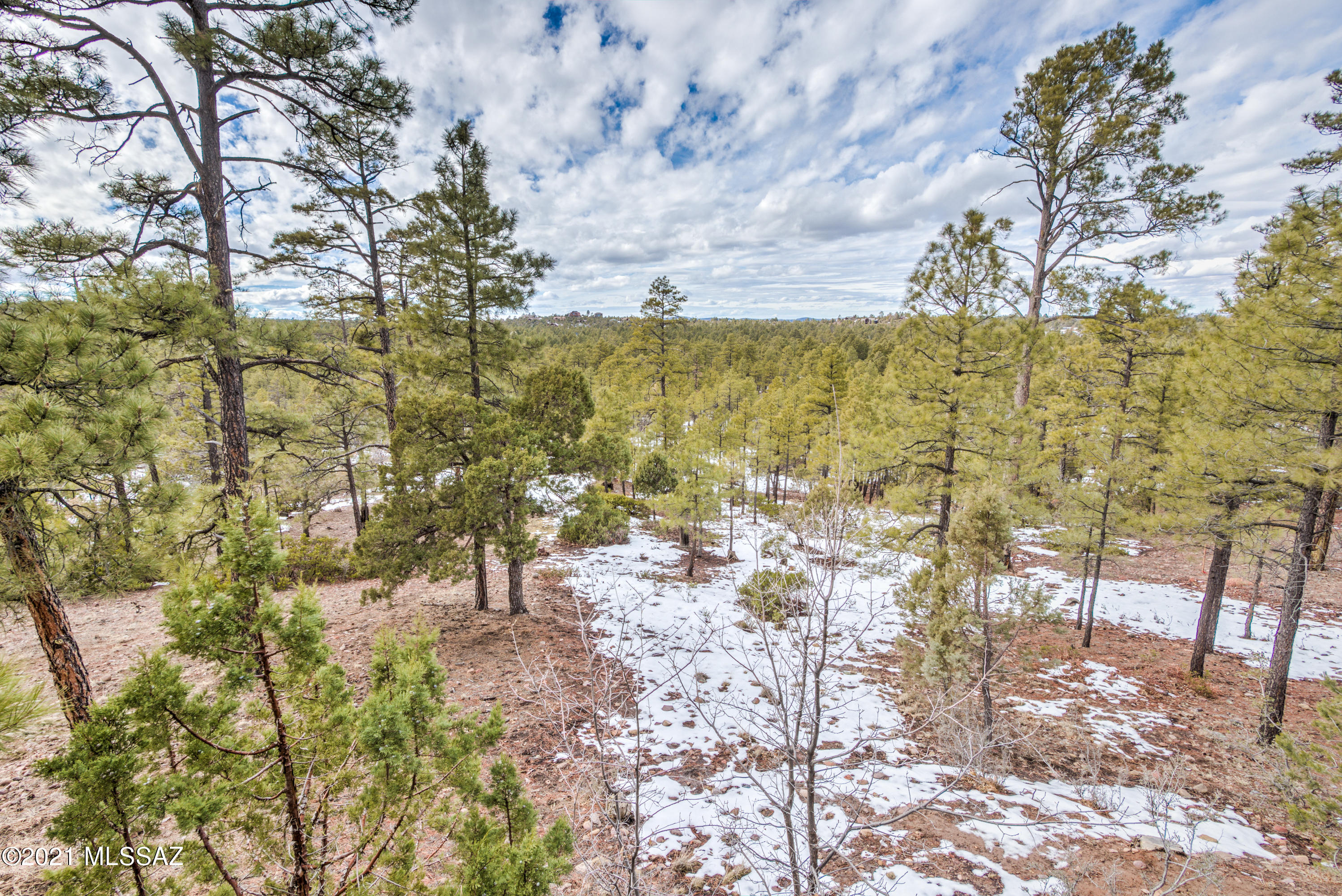 1780 S Twin Peak Trail