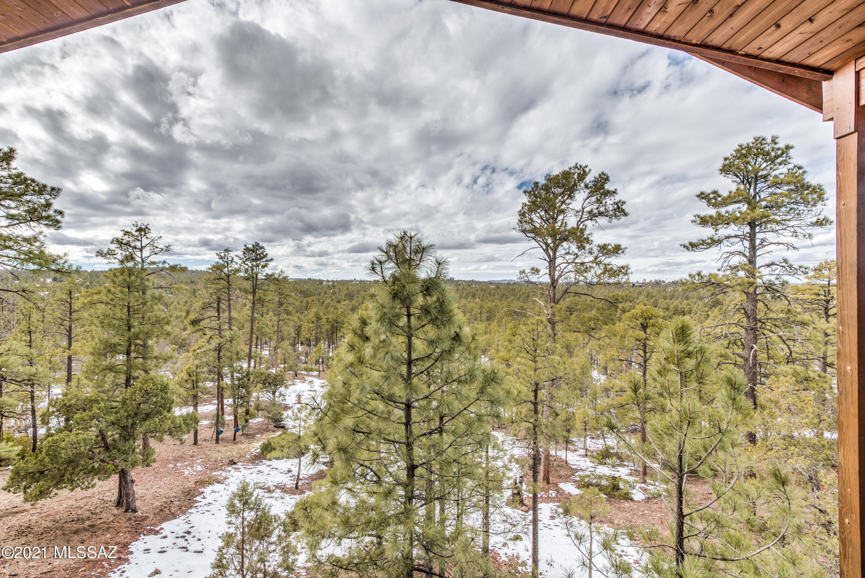 1780 S Twin Peak Trail