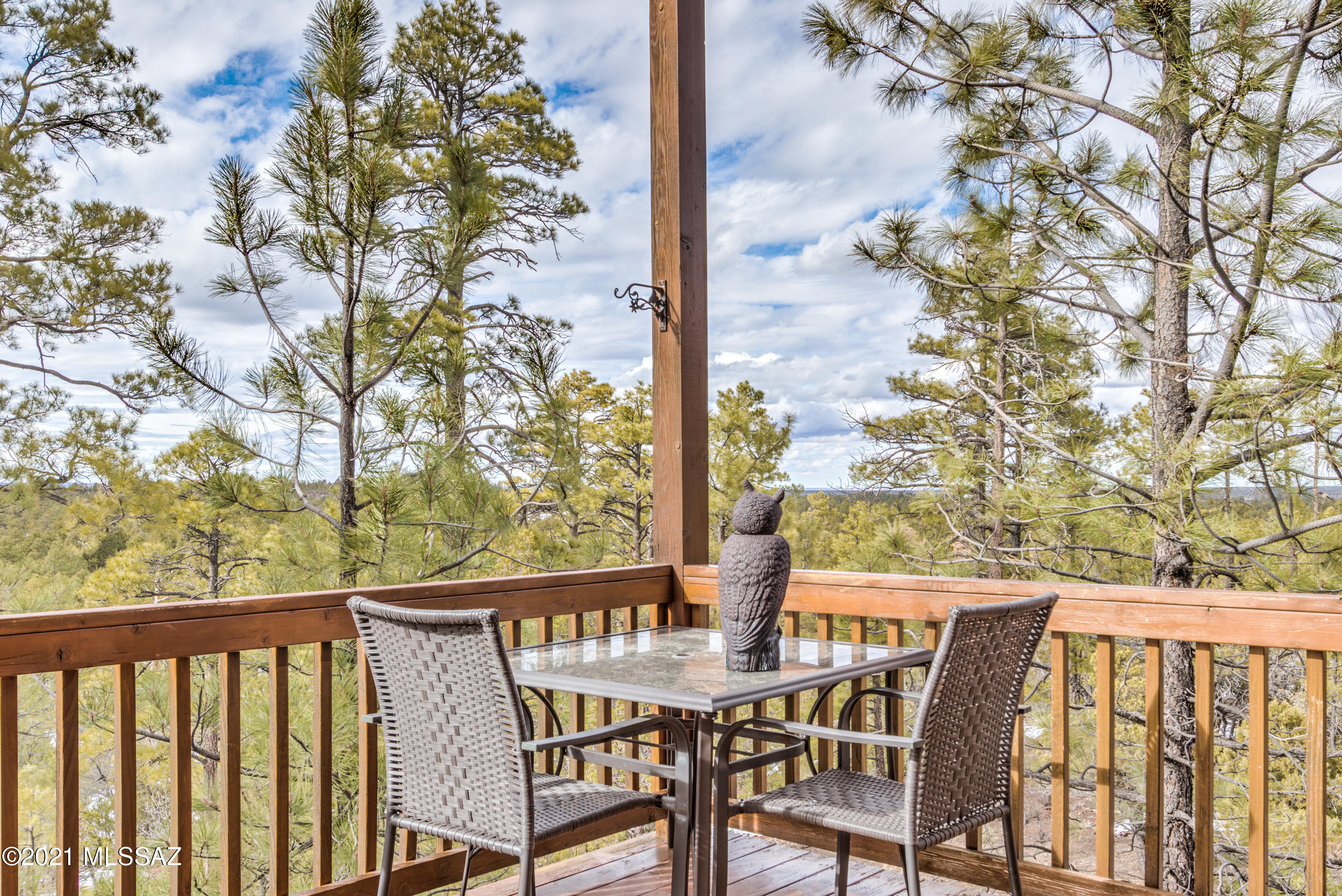 1780 S Twin Peak Trail