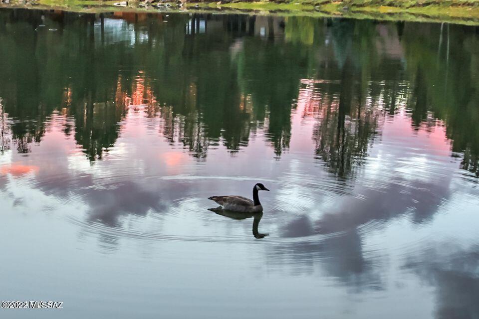 4835 Greens Peak Circle