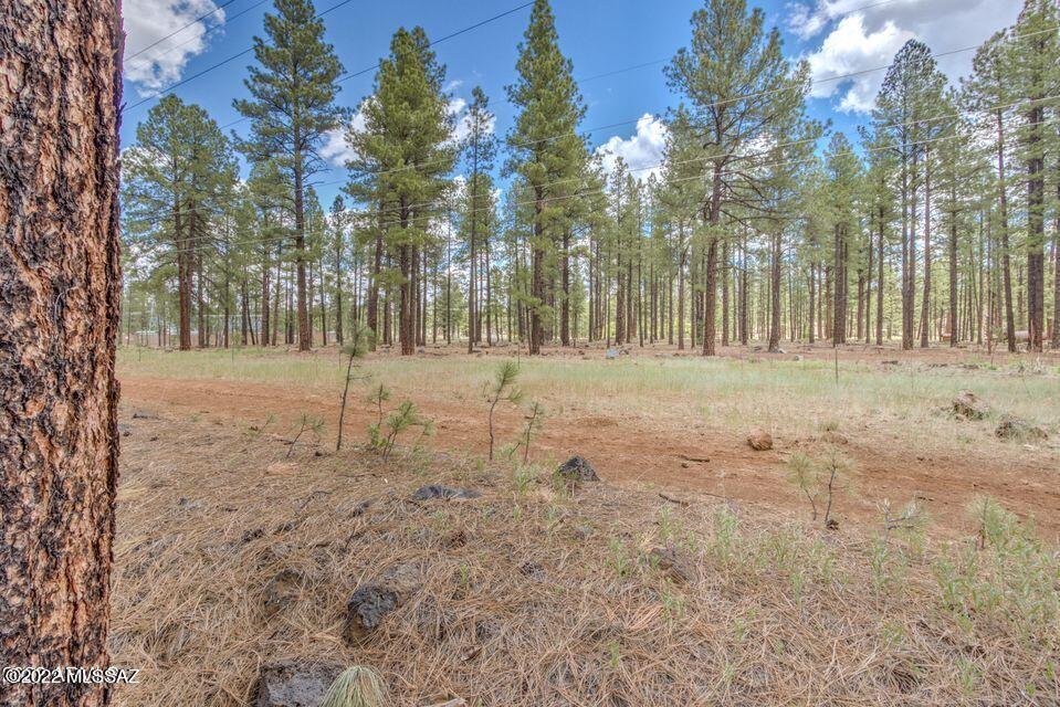 4835 Greens Peak Circle