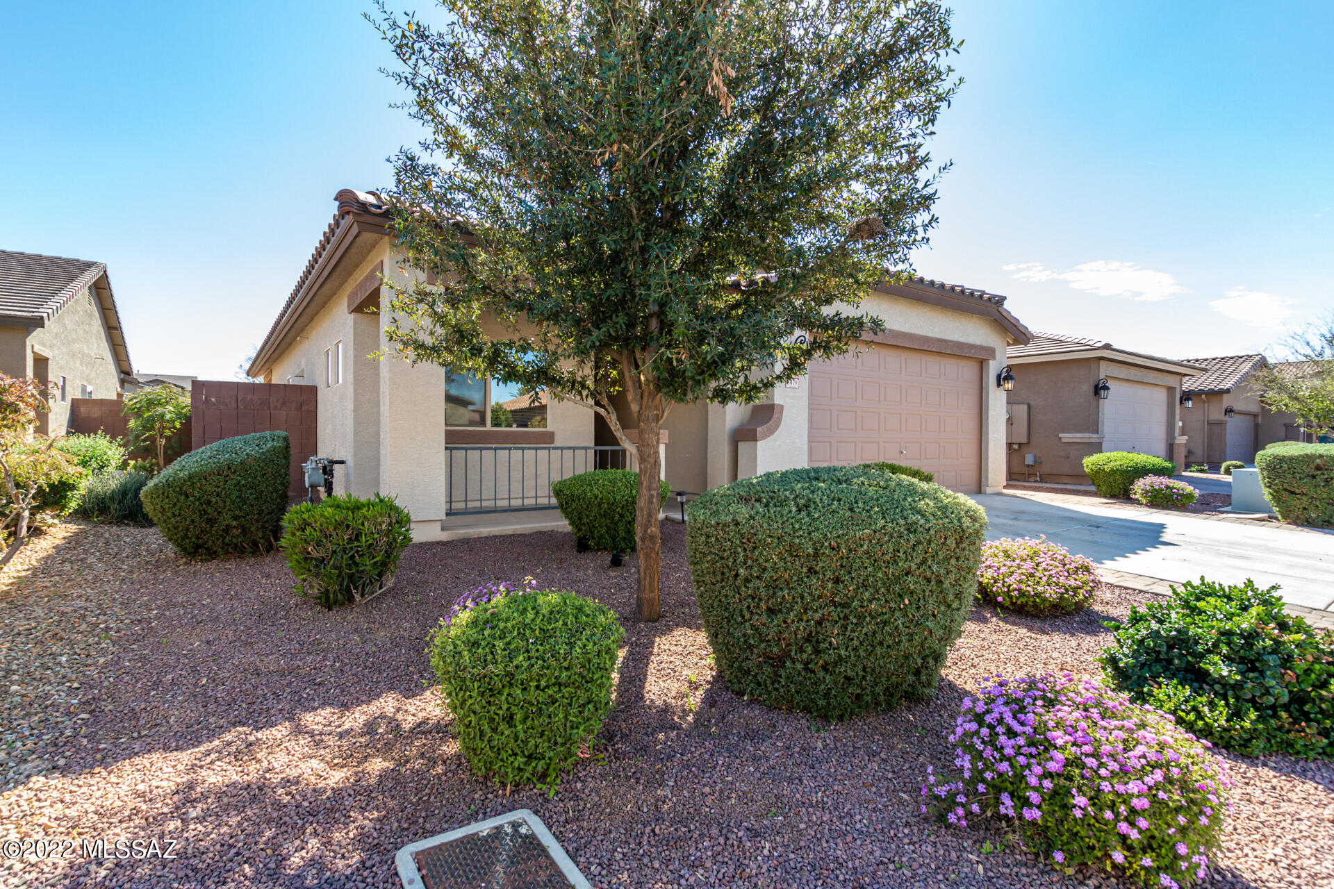 1479 Dove Tree Avenue