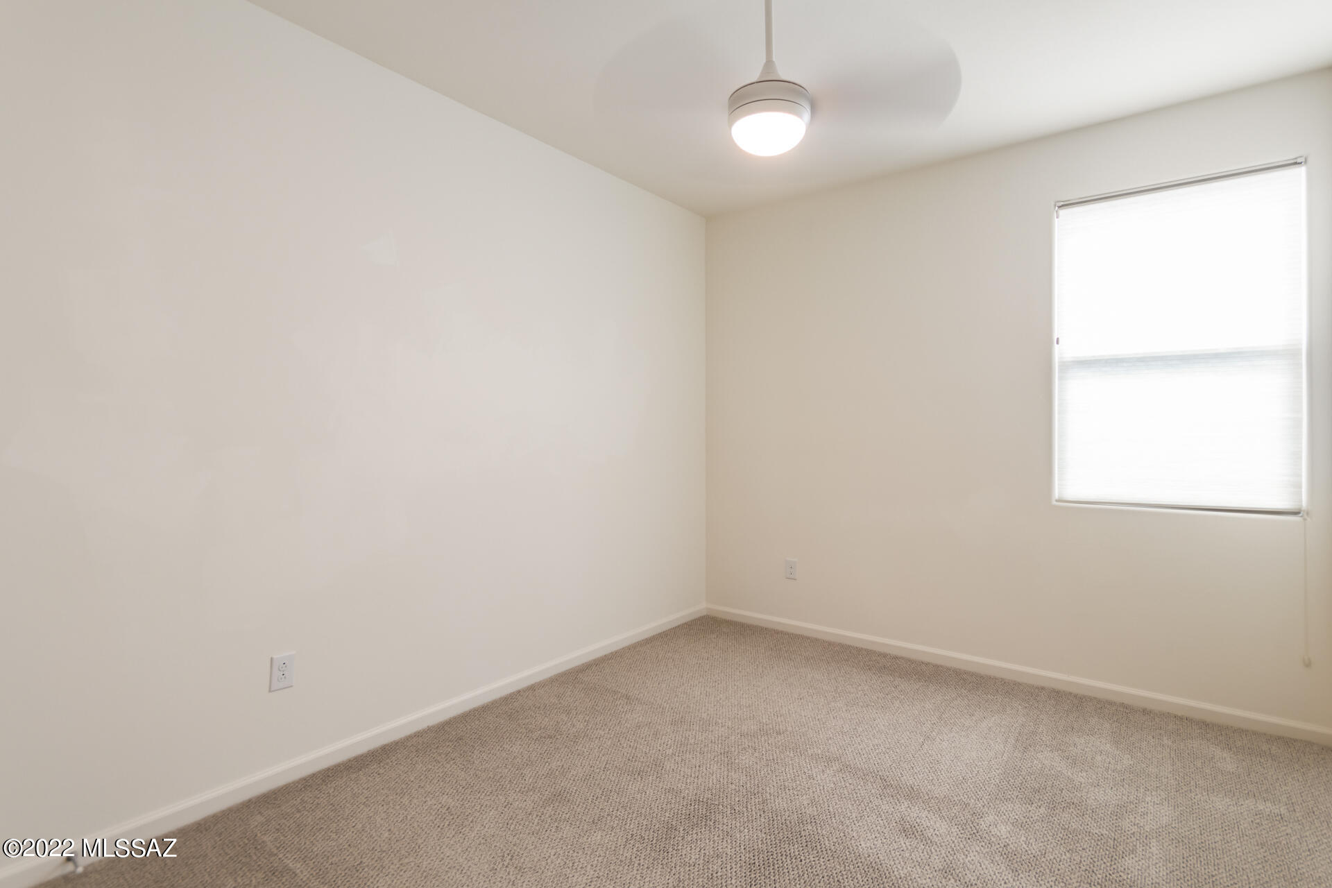 188 E Woolystar Court