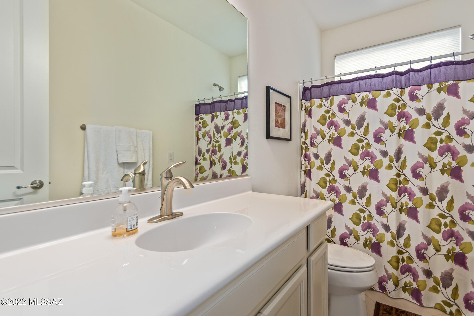 188 E Woolystar Court