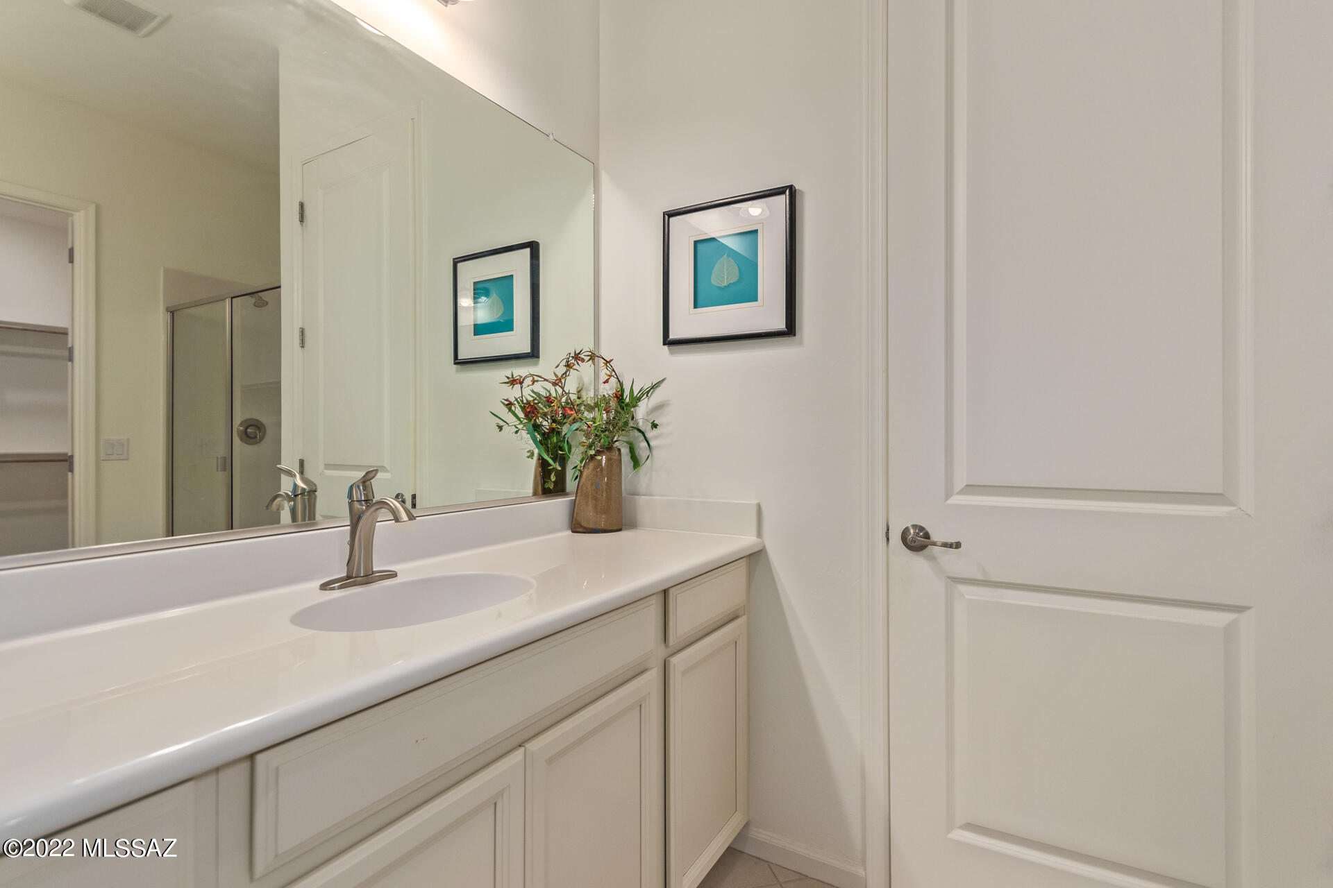 188 E Woolystar Court