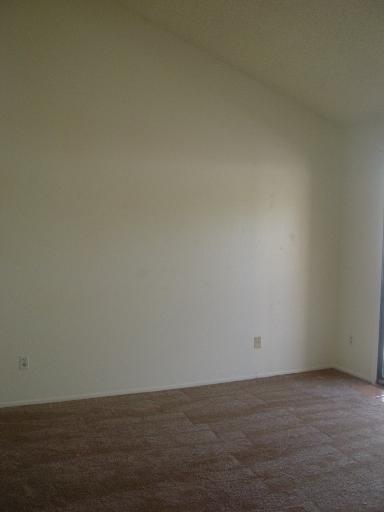 8895 N Carolanne Drive