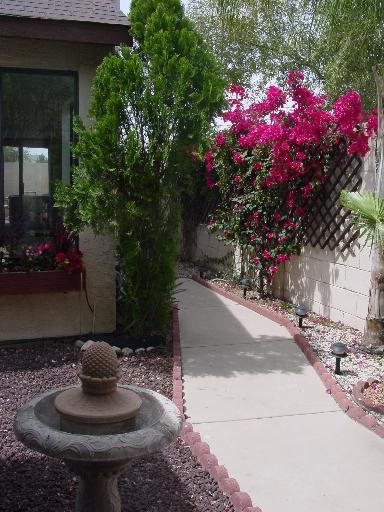 8895 N Carolanne Drive