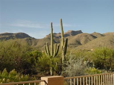 5101 N Pinnacle Cove Drive