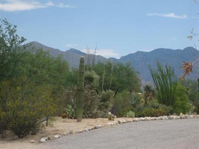 7101 N Montebella Road