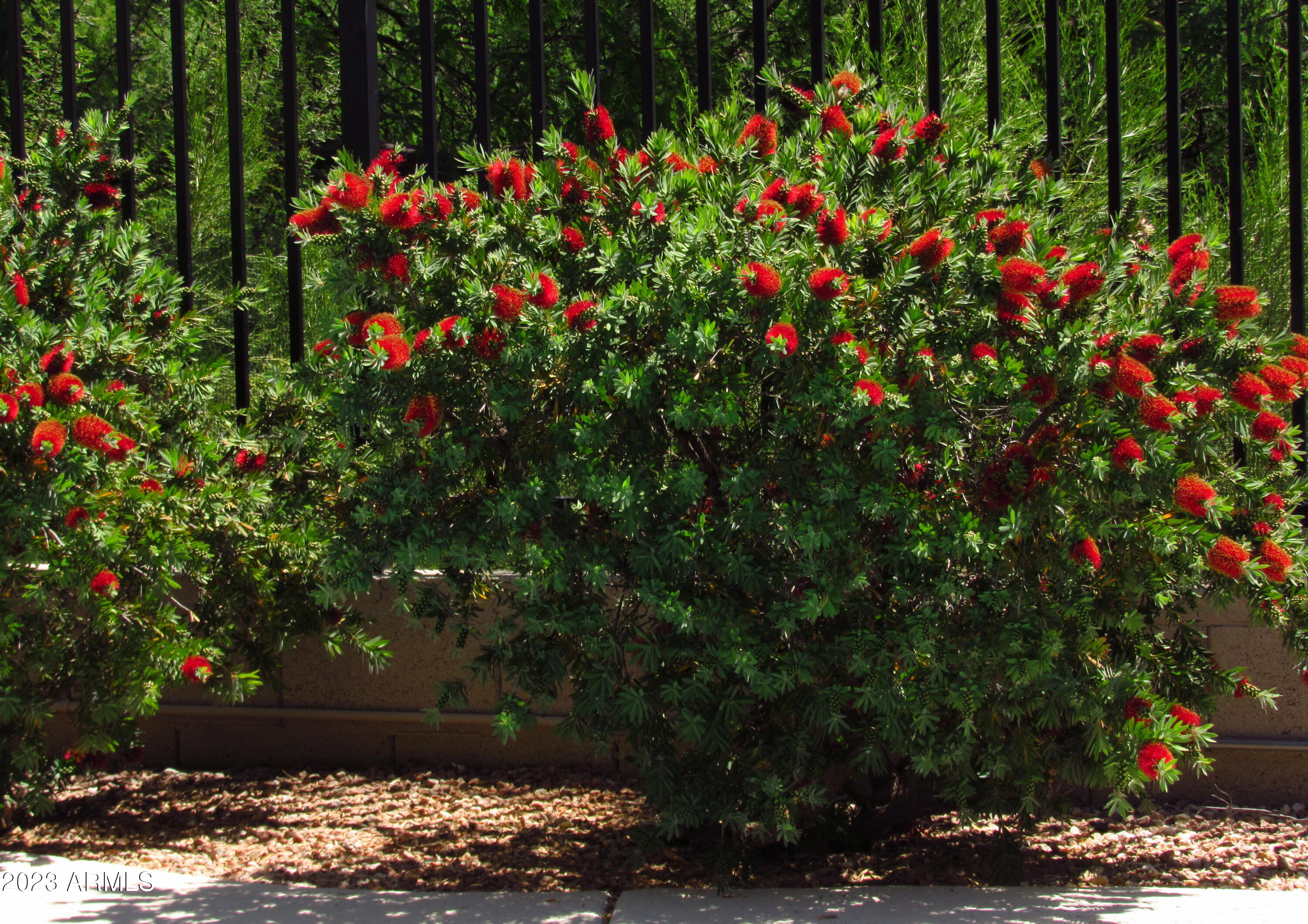 12212 N NEW DAWN Avenue