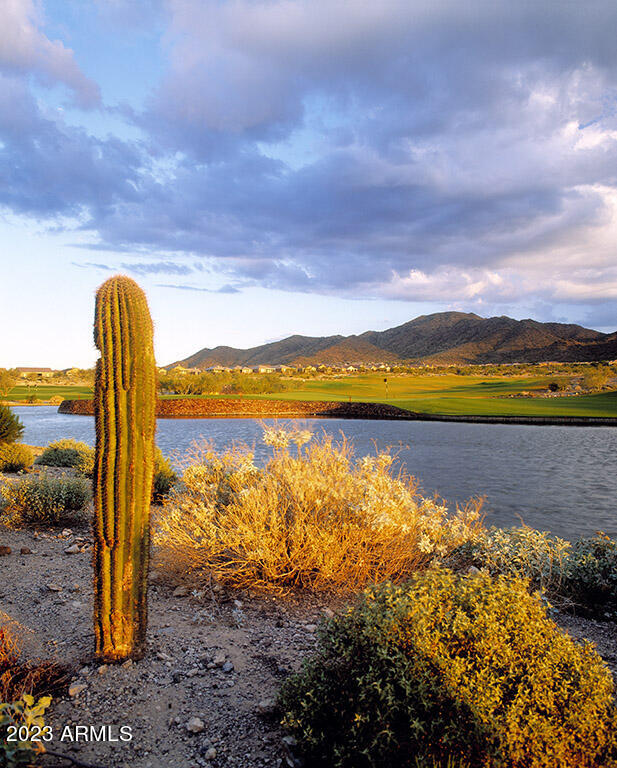 42424 N GAVILAN PEAK Parkway, 5206