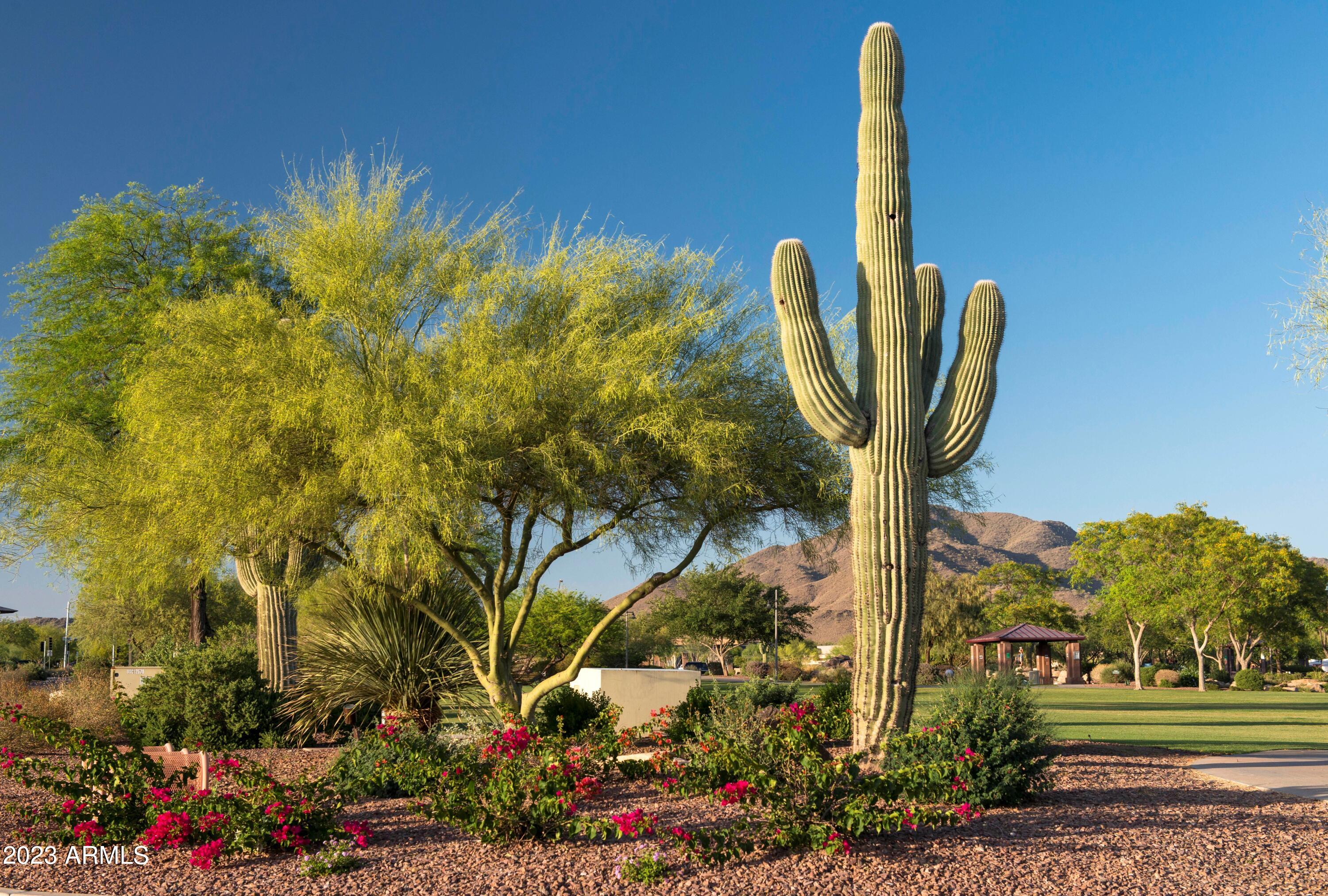 42424 N GAVILAN PEAK Parkway, 5206