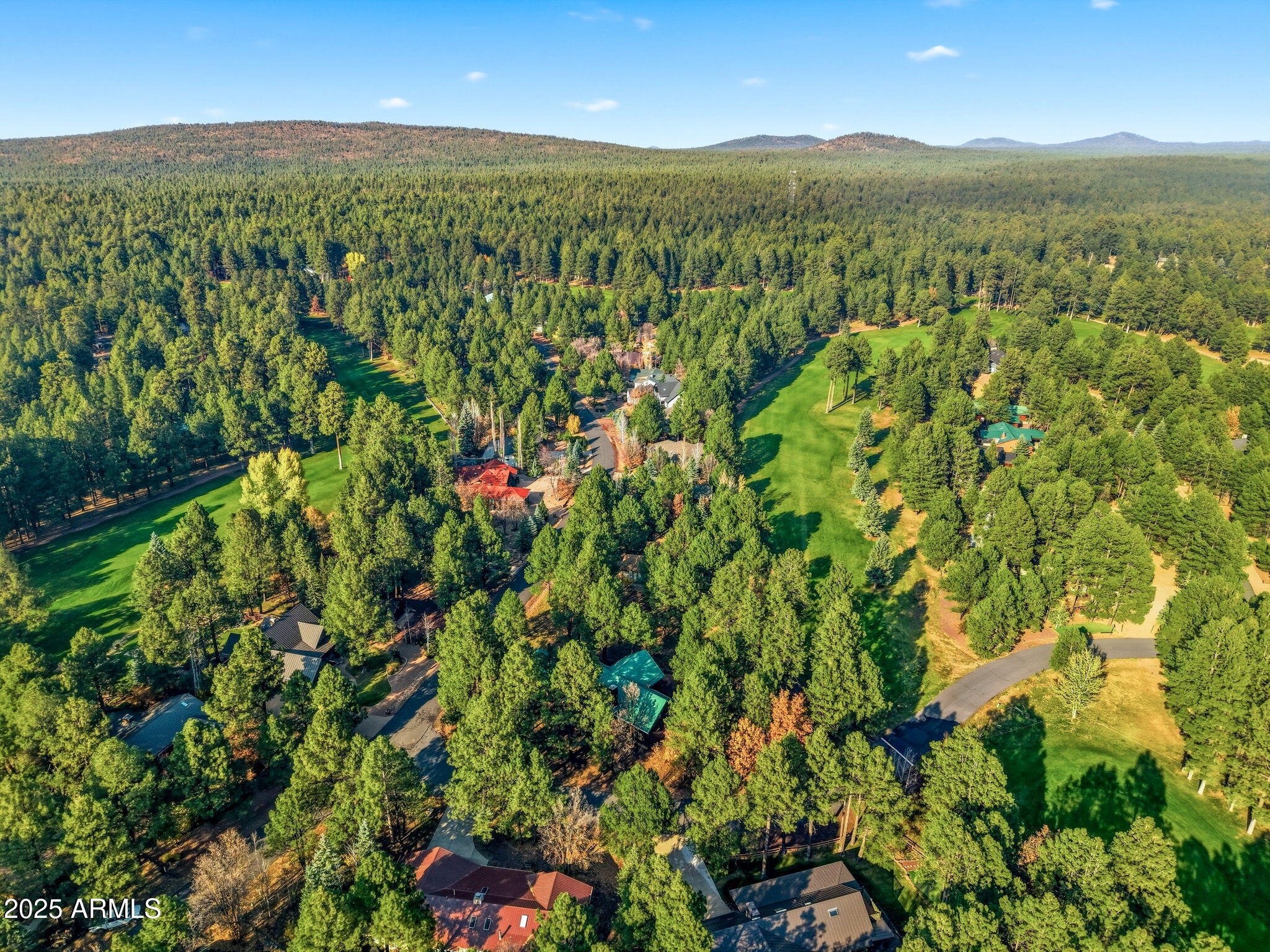 3417 ROARING FORK Drive