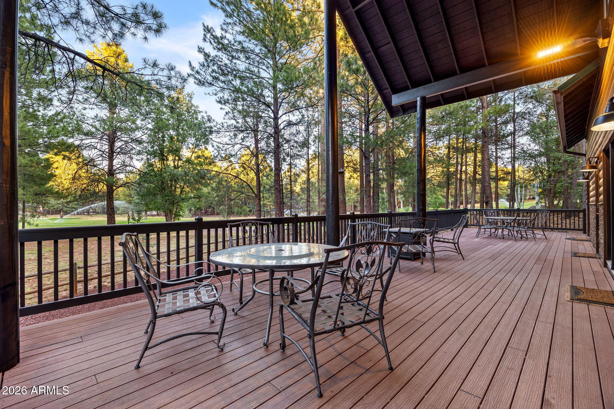 3417 ROARING FORK Drive