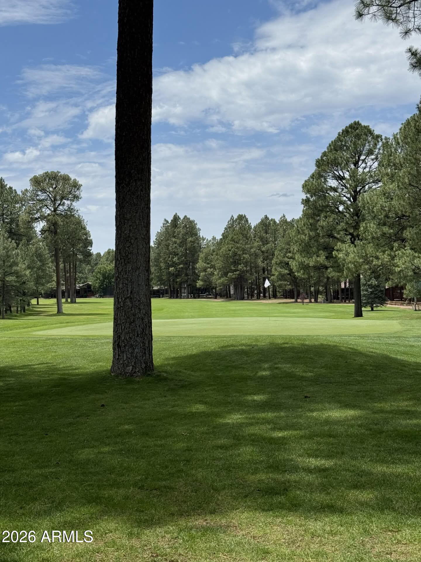 3417 ROARING FORK Drive