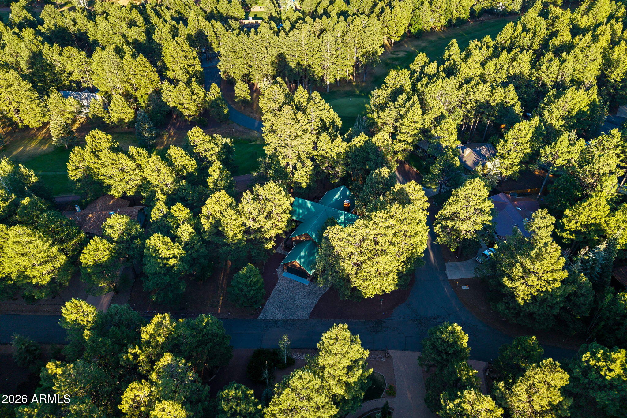 3417 ROARING FORK Drive