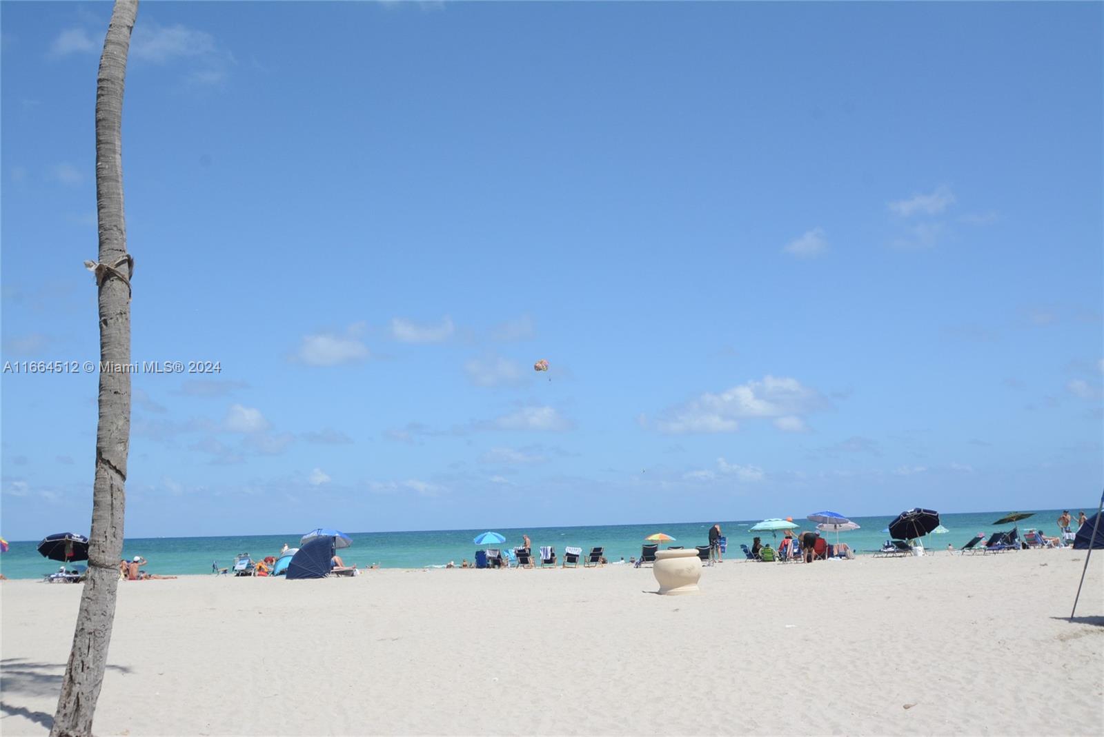 777 N Ocean Dr # N331