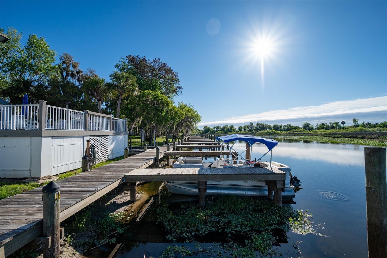 239 RIVER VILLAGE DR