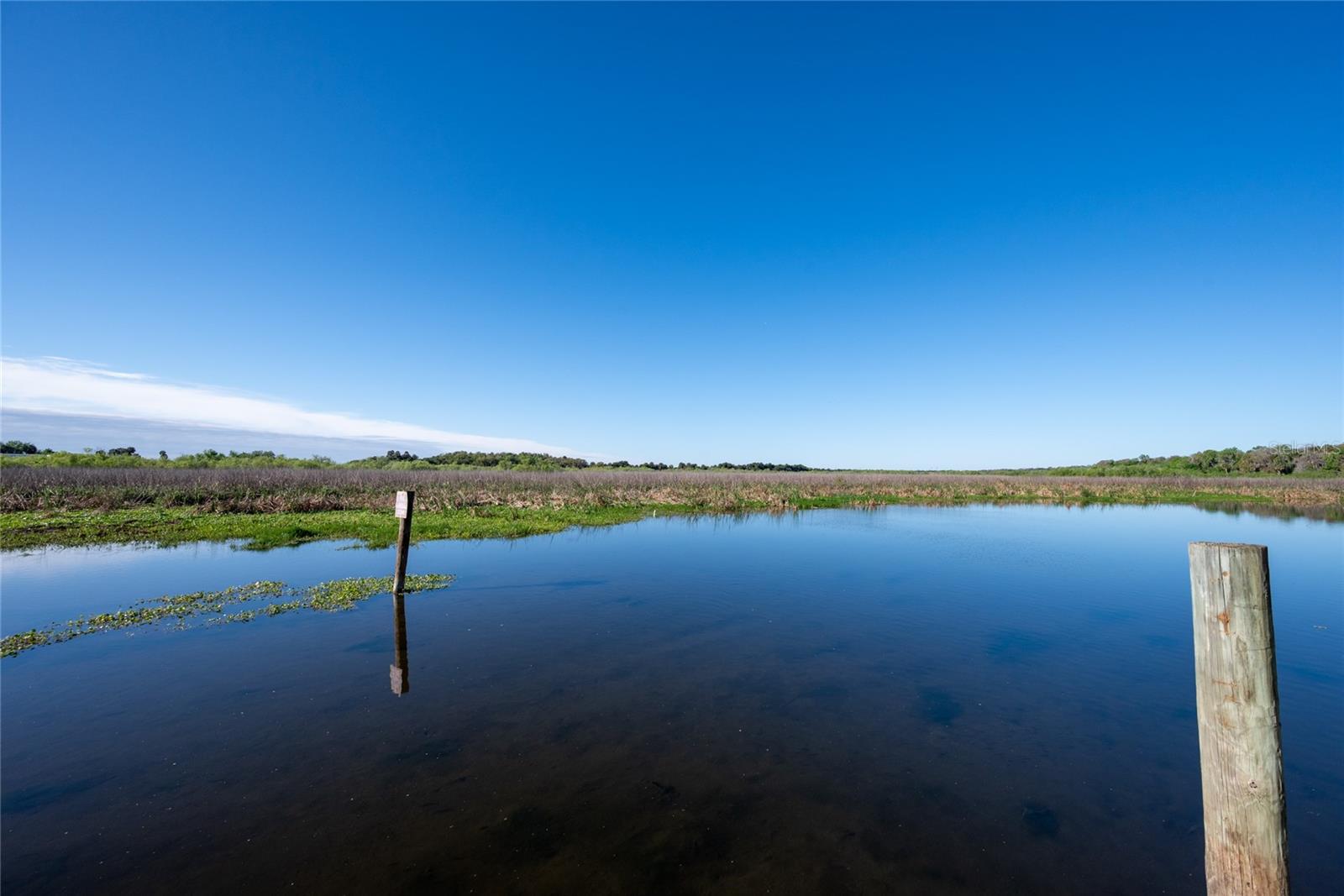 239 RIVER VILLAGE DR