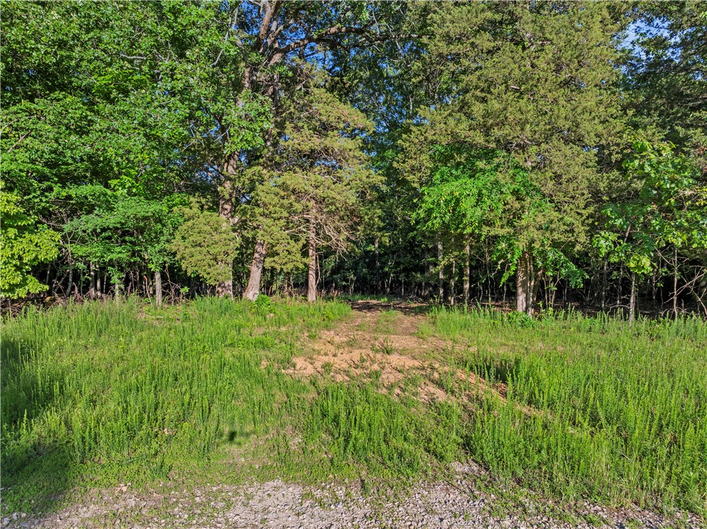 * Persimmon, Lot 10 Road