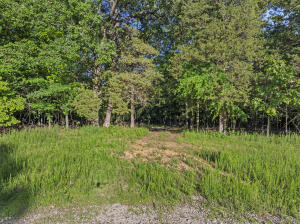 * Persimmon, Lot 9 Road