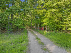 * Persimmon, Lot 9 Road