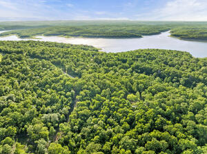 * Persimmon, Lot 9 Road