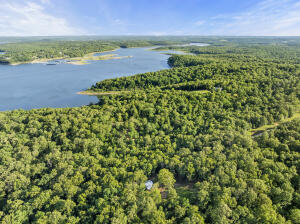 * Persimmon, Lot 9 Road