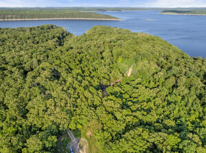 * Persimmon, Lot 9 Road