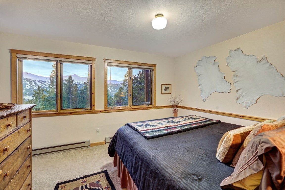 2502 Boreas Pass ROAD