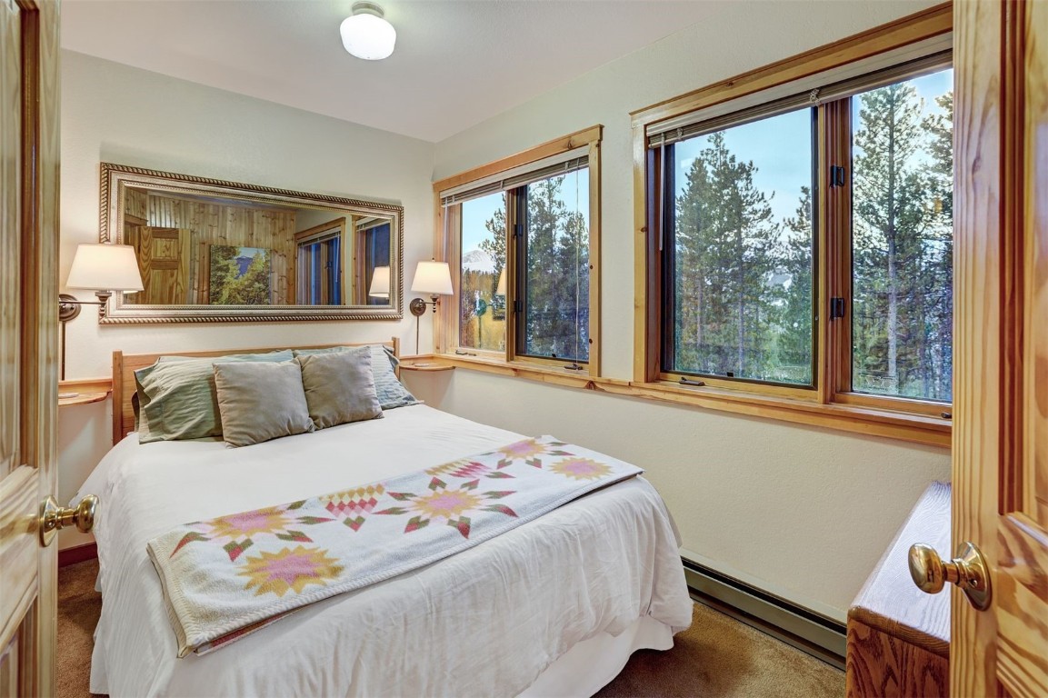 2502 Boreas Pass ROAD