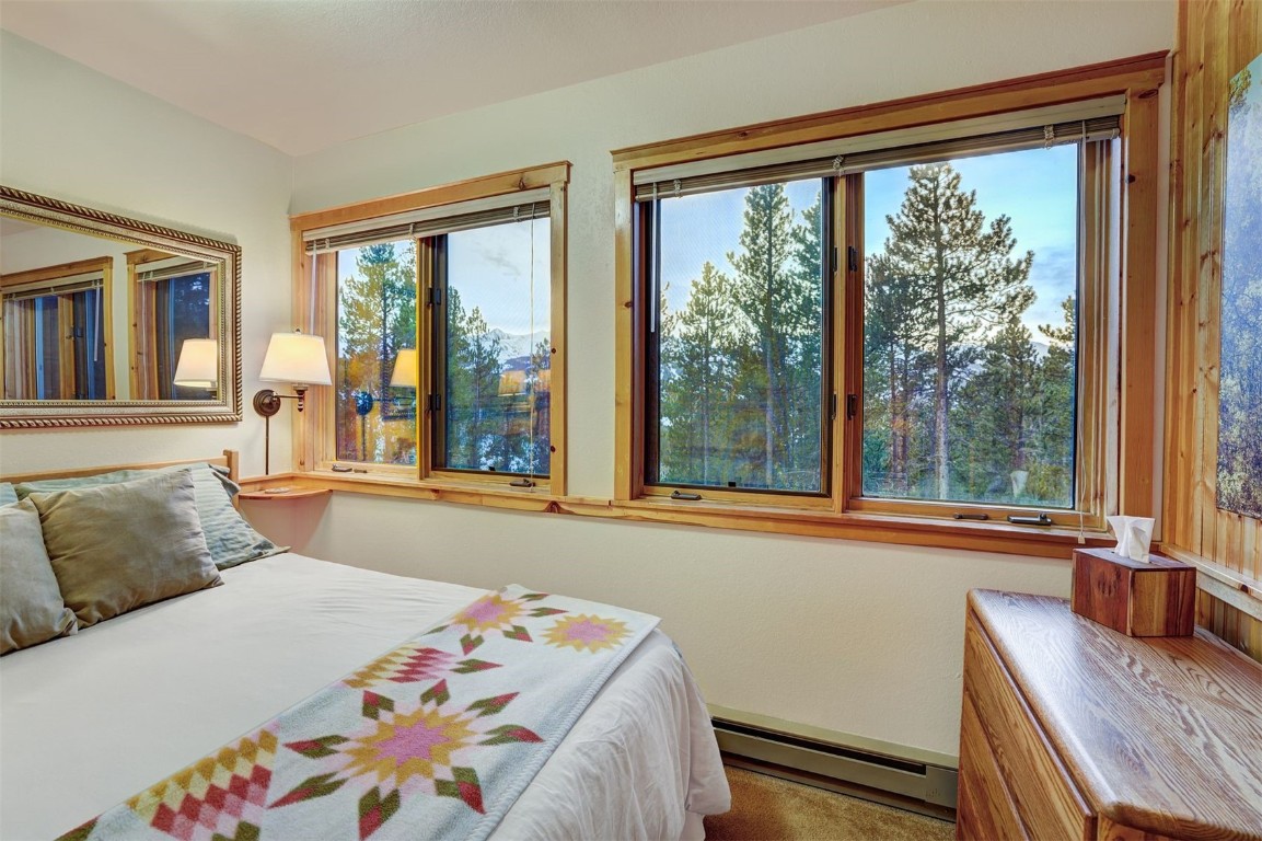 2502 Boreas Pass ROAD