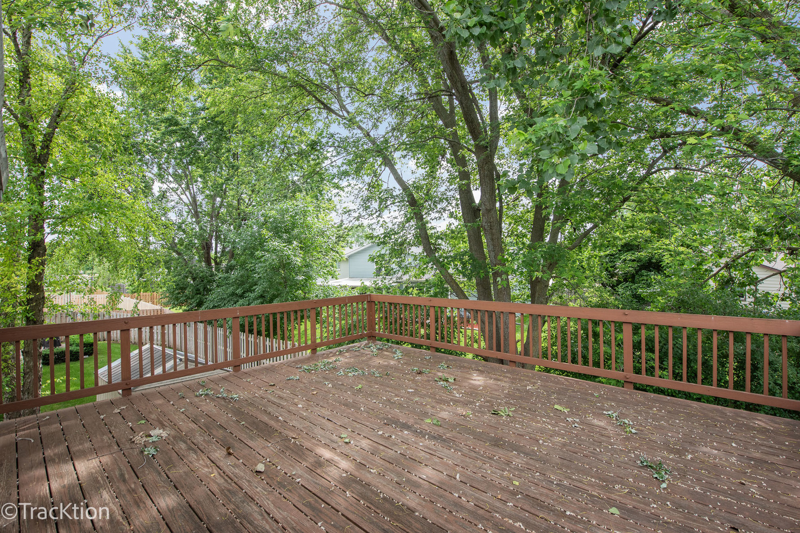 59 Campbell Drive