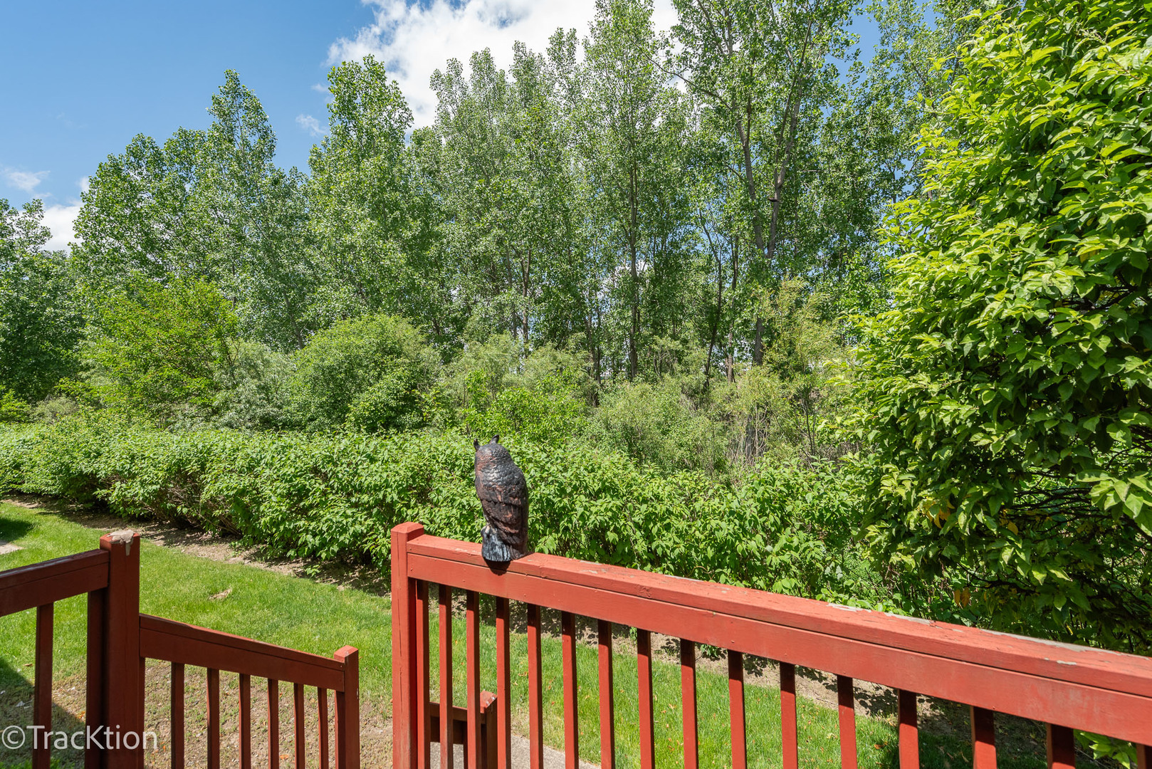 20904 W Chinaberry Court