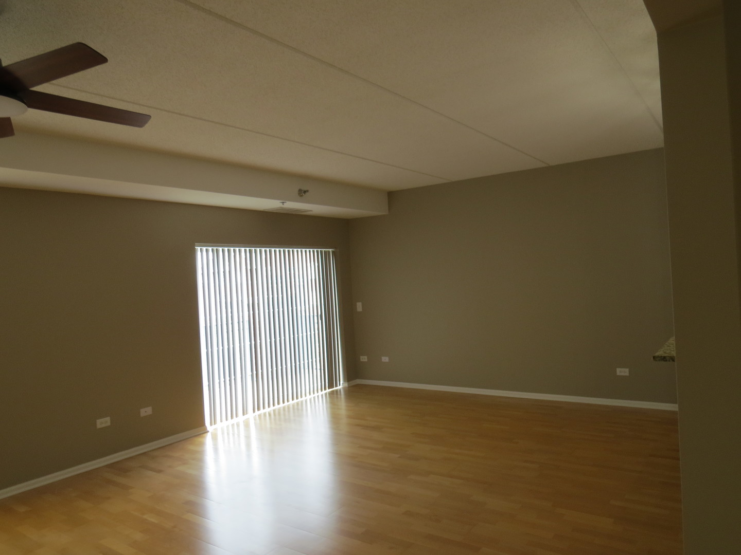 410 W Mahogany Court Unit: 703