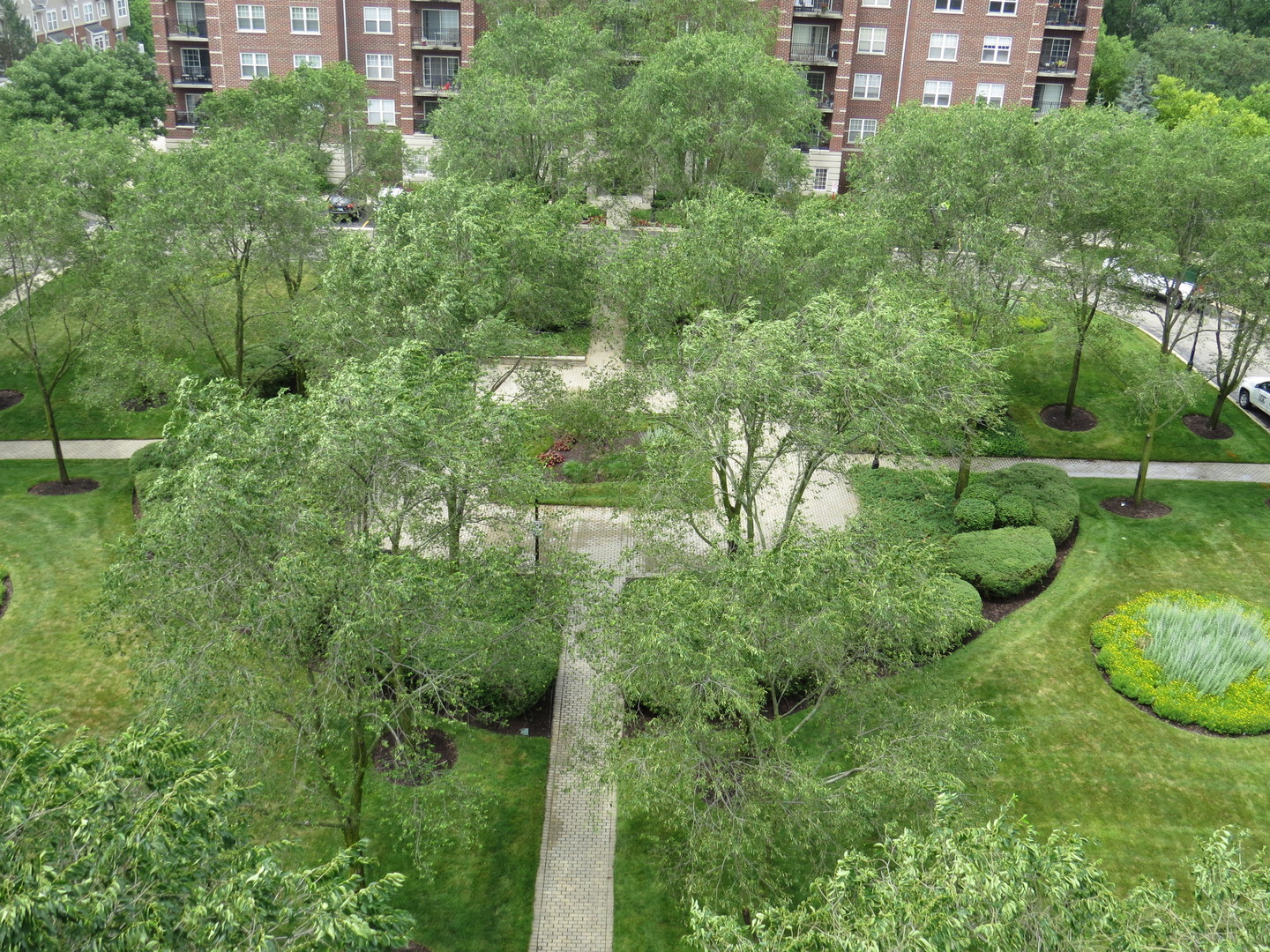 410 W Mahogany Court Unit: 703