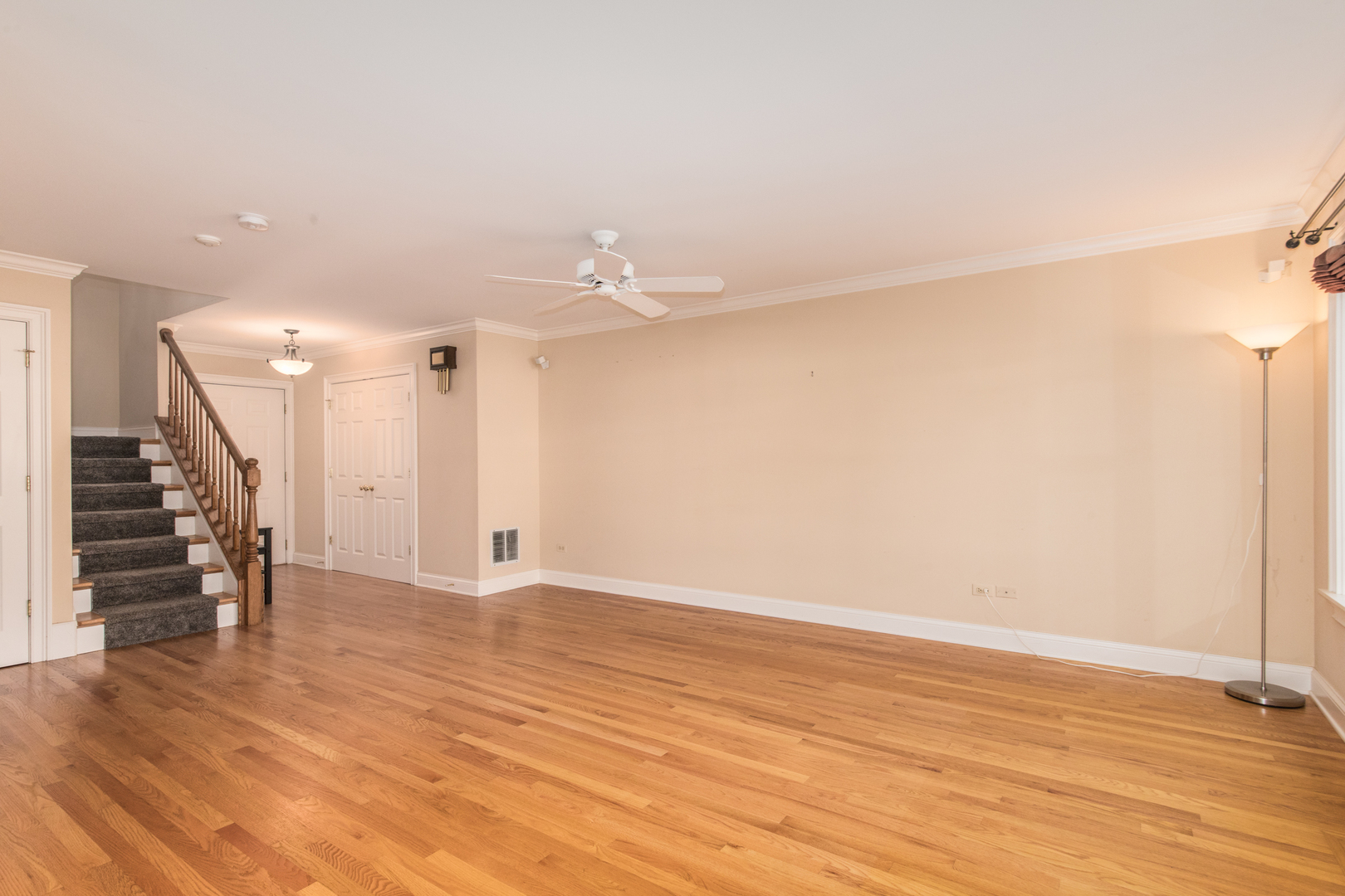 2031 Yellow Daisy Court