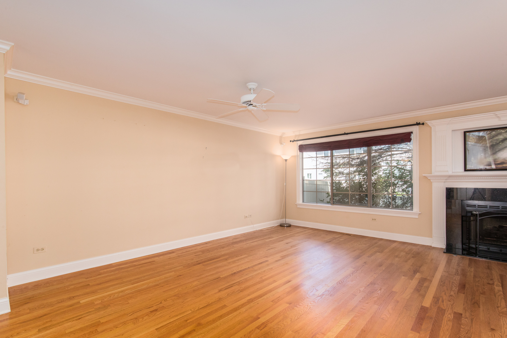 2031 Yellow Daisy Court