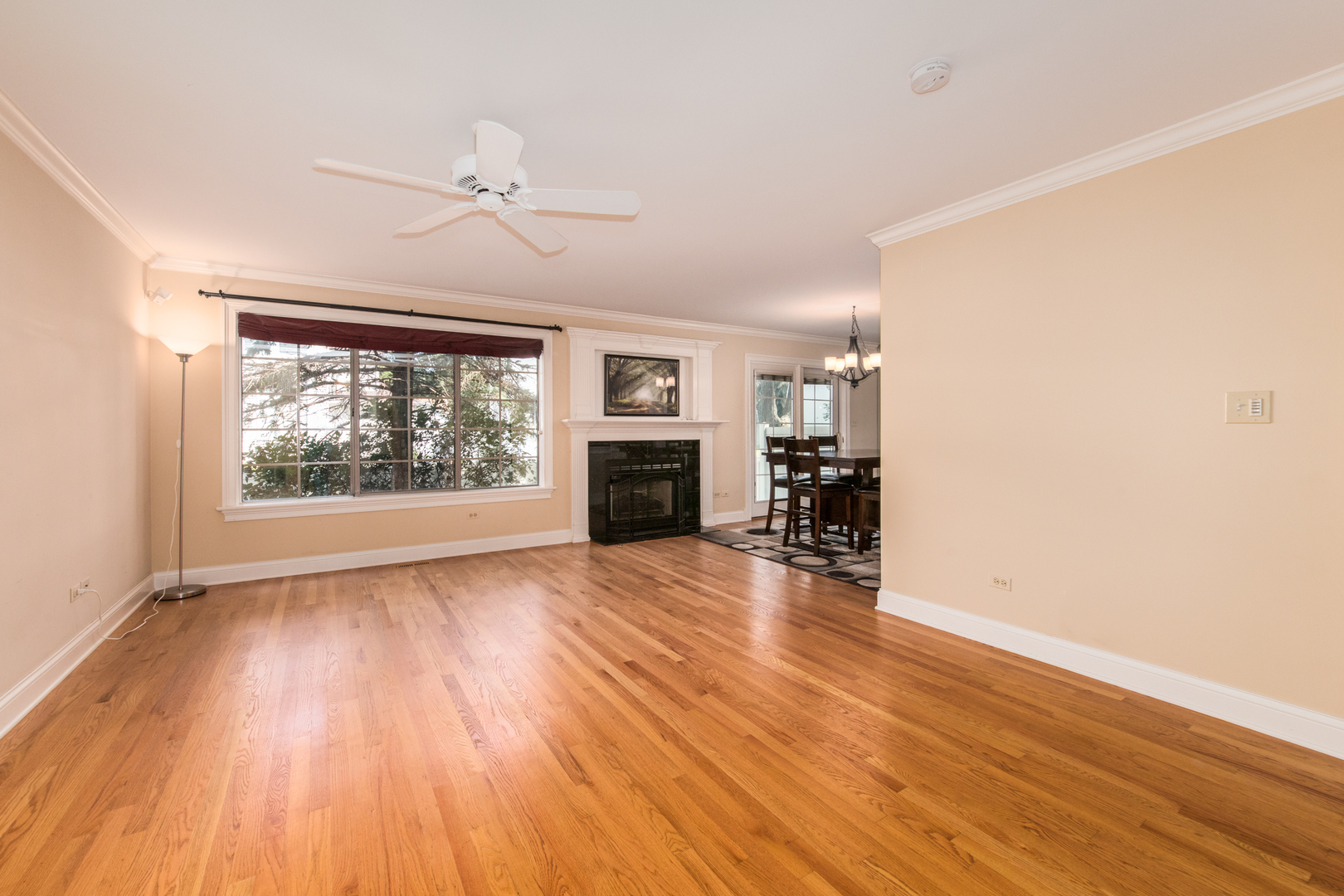 2031 Yellow Daisy Court