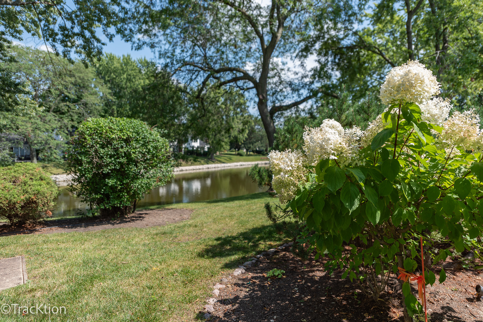 1229 W Bauer Road