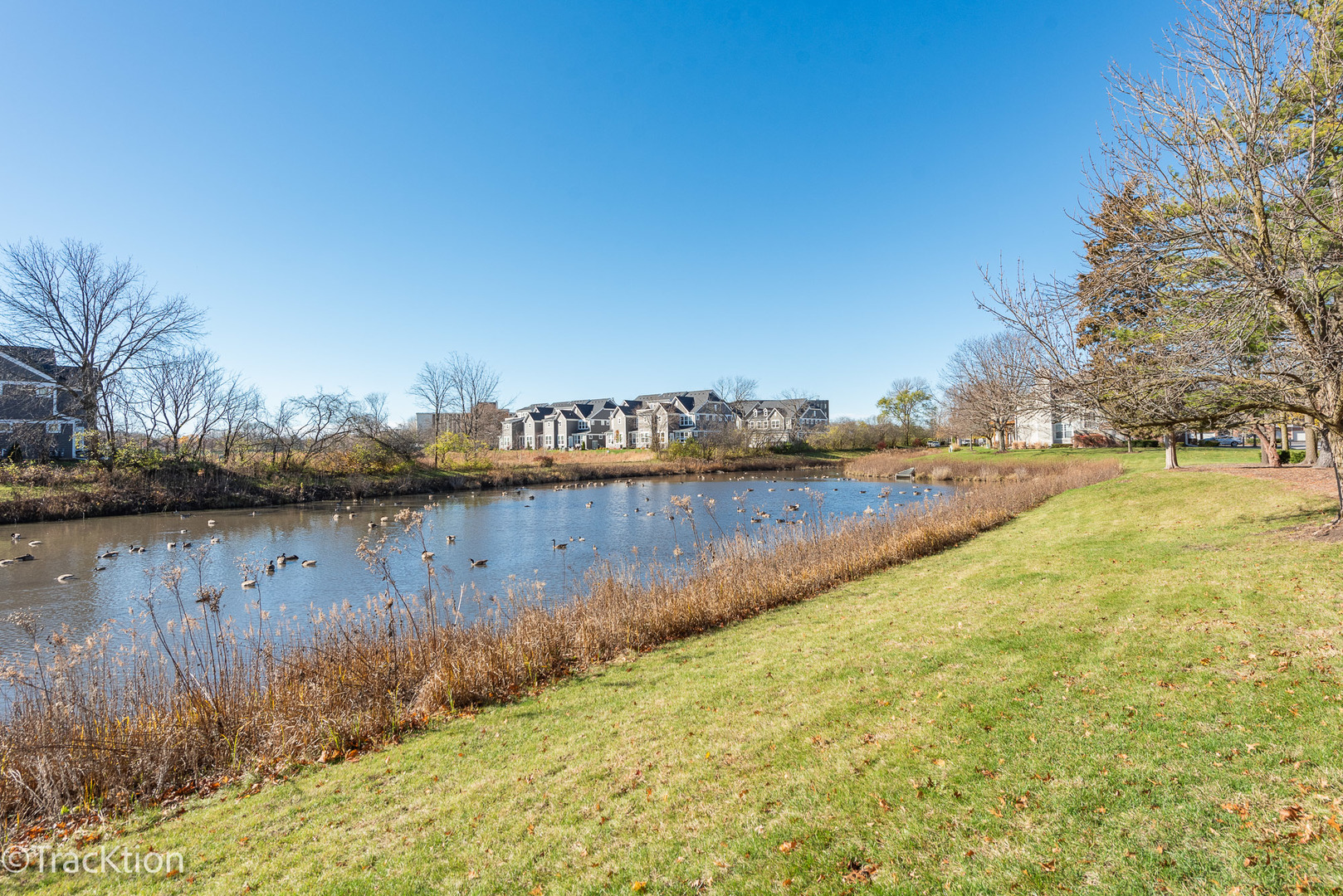 1351 Danada Court Unit: 1351