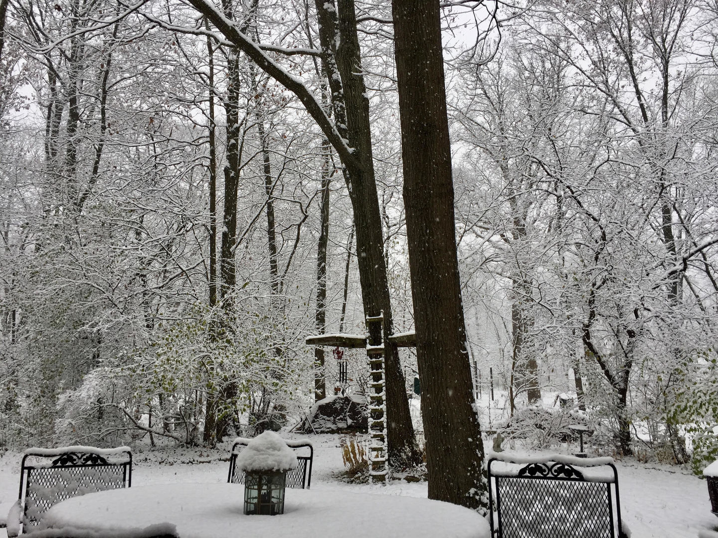 1893 Carriage Hill Road