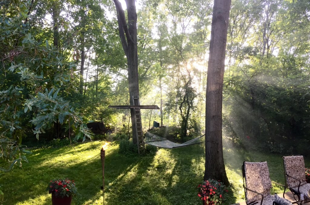 1893 Carriage Hill Road