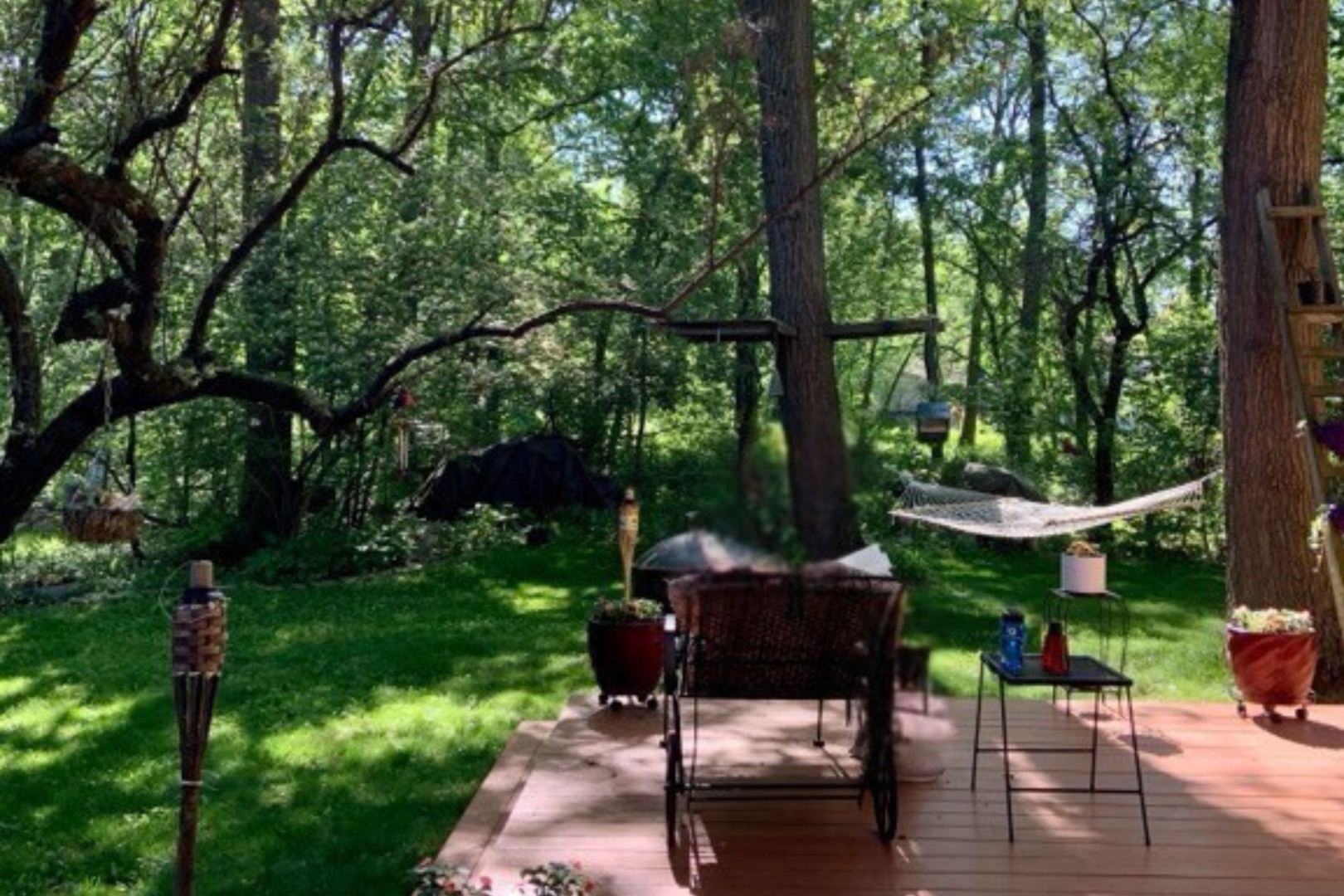 1893 Carriage Hill Road