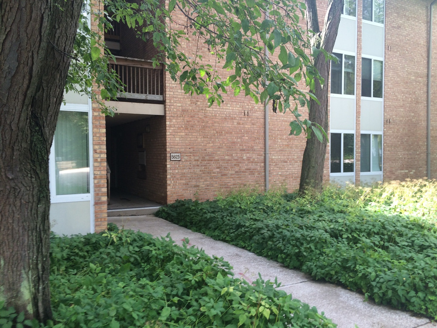 5825 Oakwood Drive Unit: D