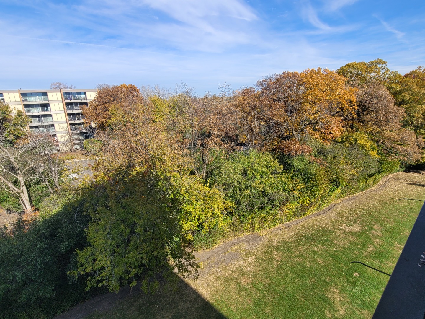 6010 oakwood Drive Unit: 5B