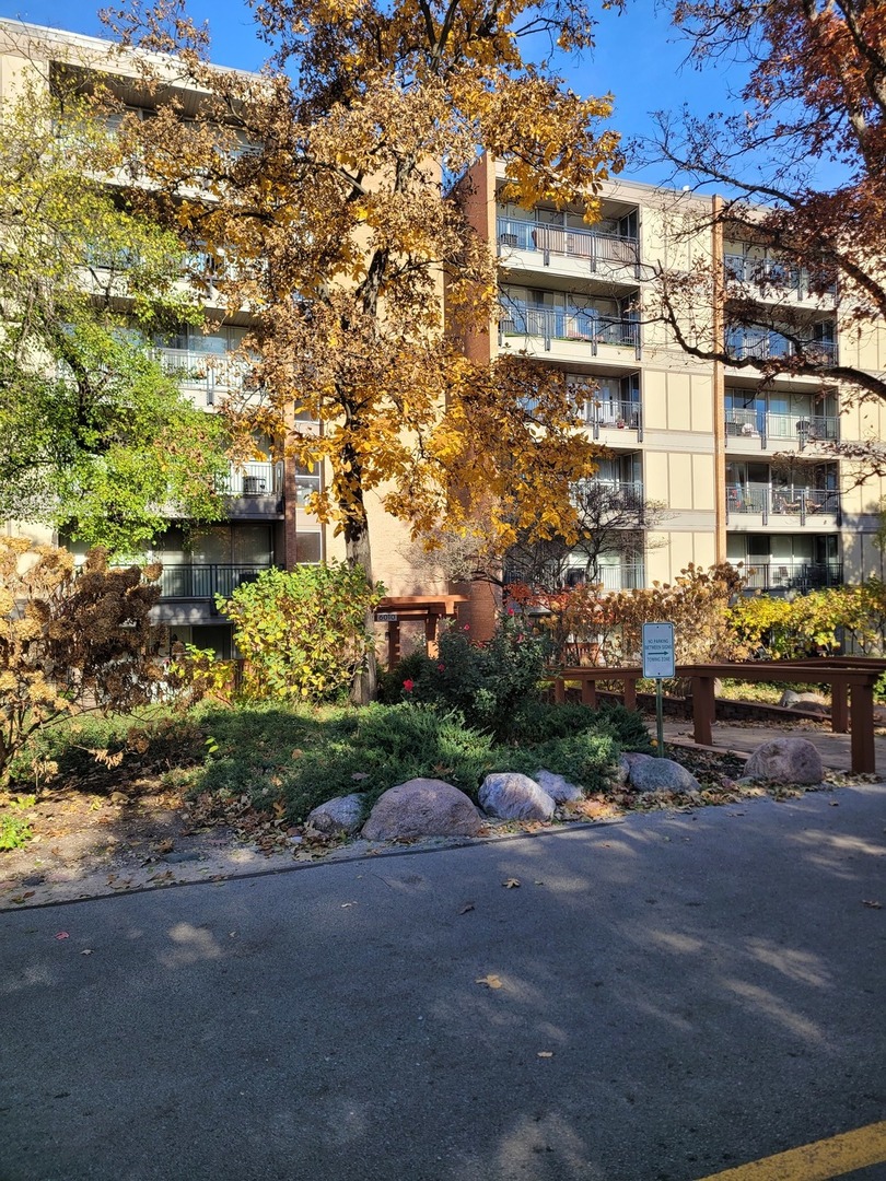 6010 oakwood Drive Unit: 5B