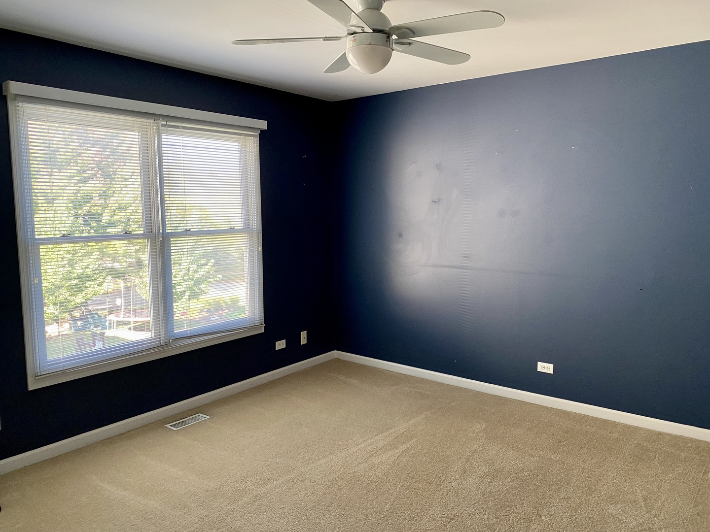 2412 Avalon Court