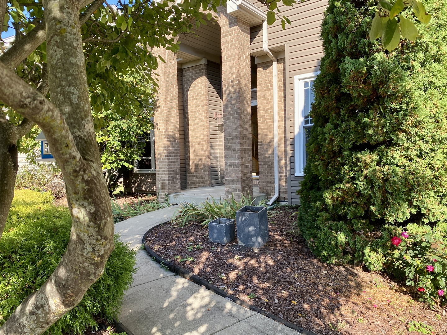 2412 Avalon Court